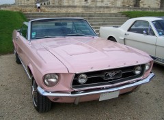 Fonds d'cran Voitures Ford Mustang