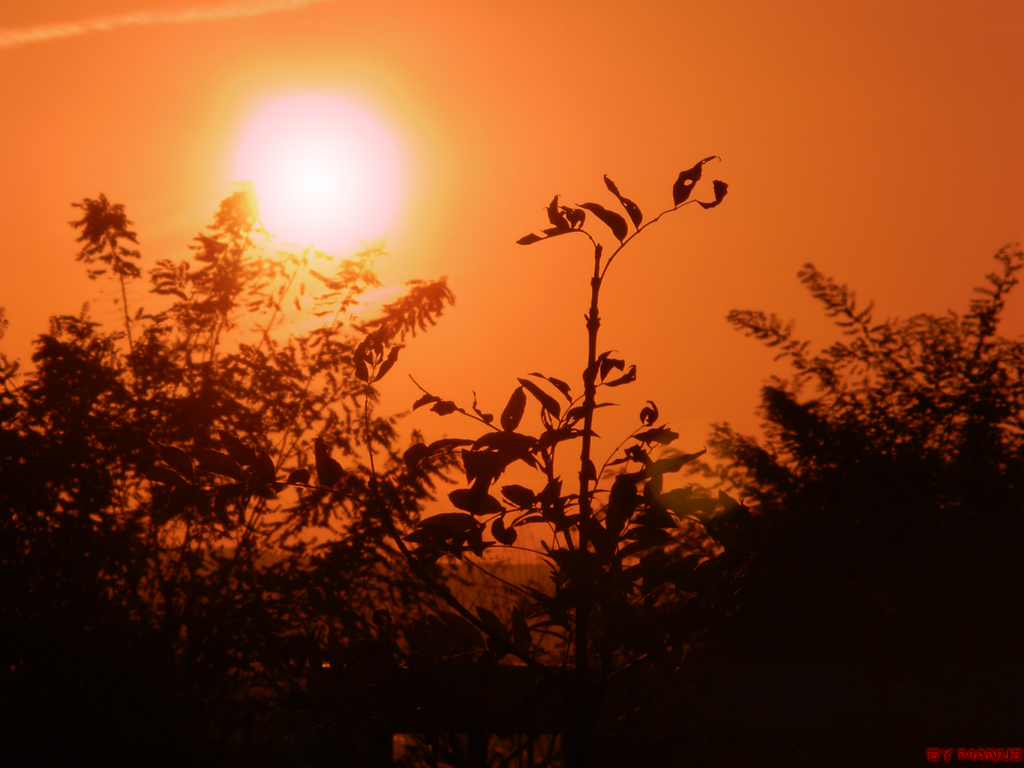 Wallpapers Nature Skies - Clouds Couch de Soleil  Troyes