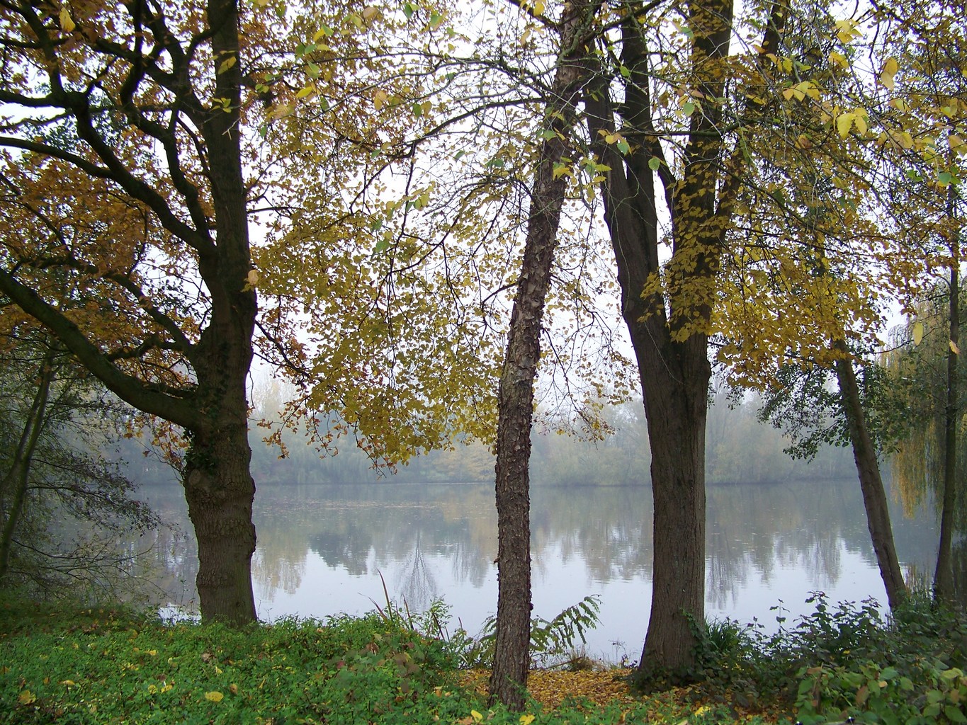 Wallpapers Nature Lakes - Ponds Lac au millieu des bois