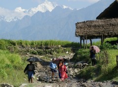 Fonds d'cran Voyages : Asie paysage npalais