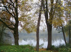 Fonds d'cran Nature Lac au millieu des bois