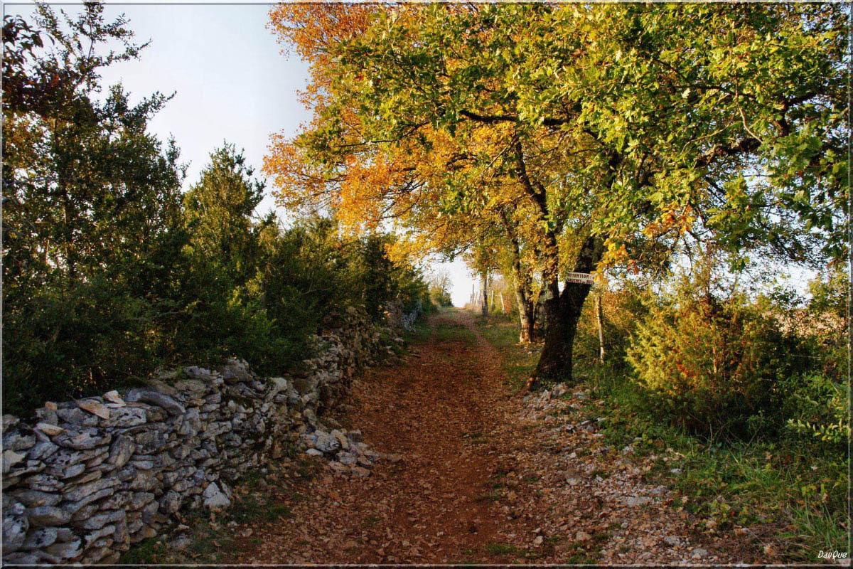 Fonds d'cran Nature Saisons - Automne Couleurs automnales