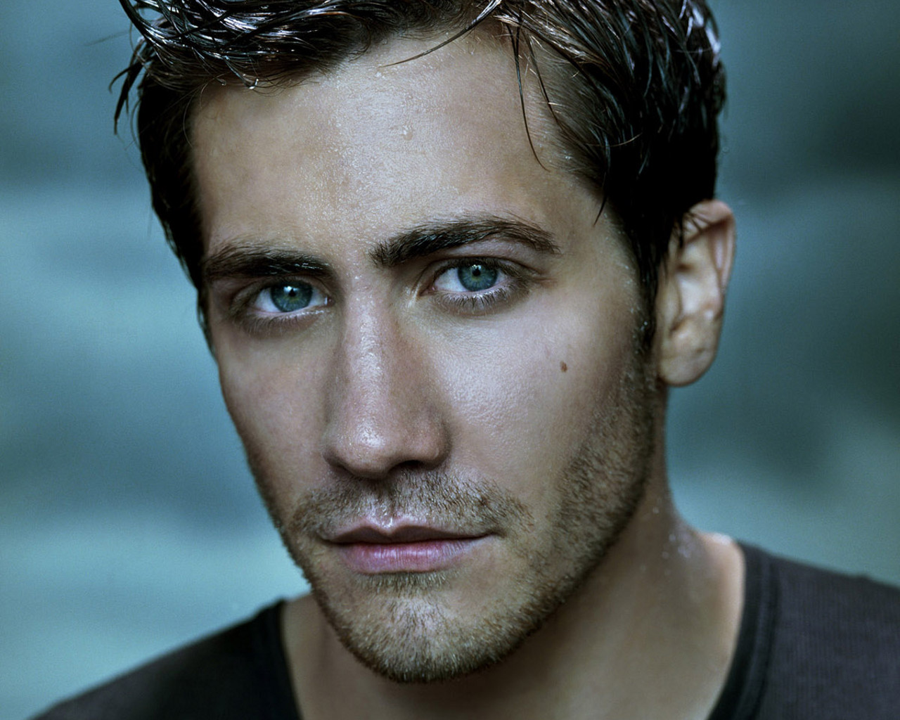 Fonds d'cran Clbrits Homme Jake Gyllenhaal 