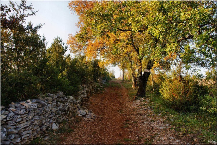 Fonds d'cran Nature Saisons - Automne Couleurs automnales