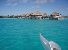 Fonds d'cran Nature Hotel sur Bora