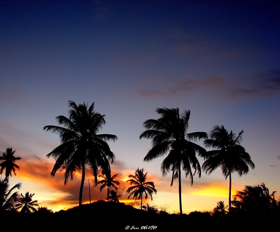 Wallpapers Nature Landscapes Fin de journe