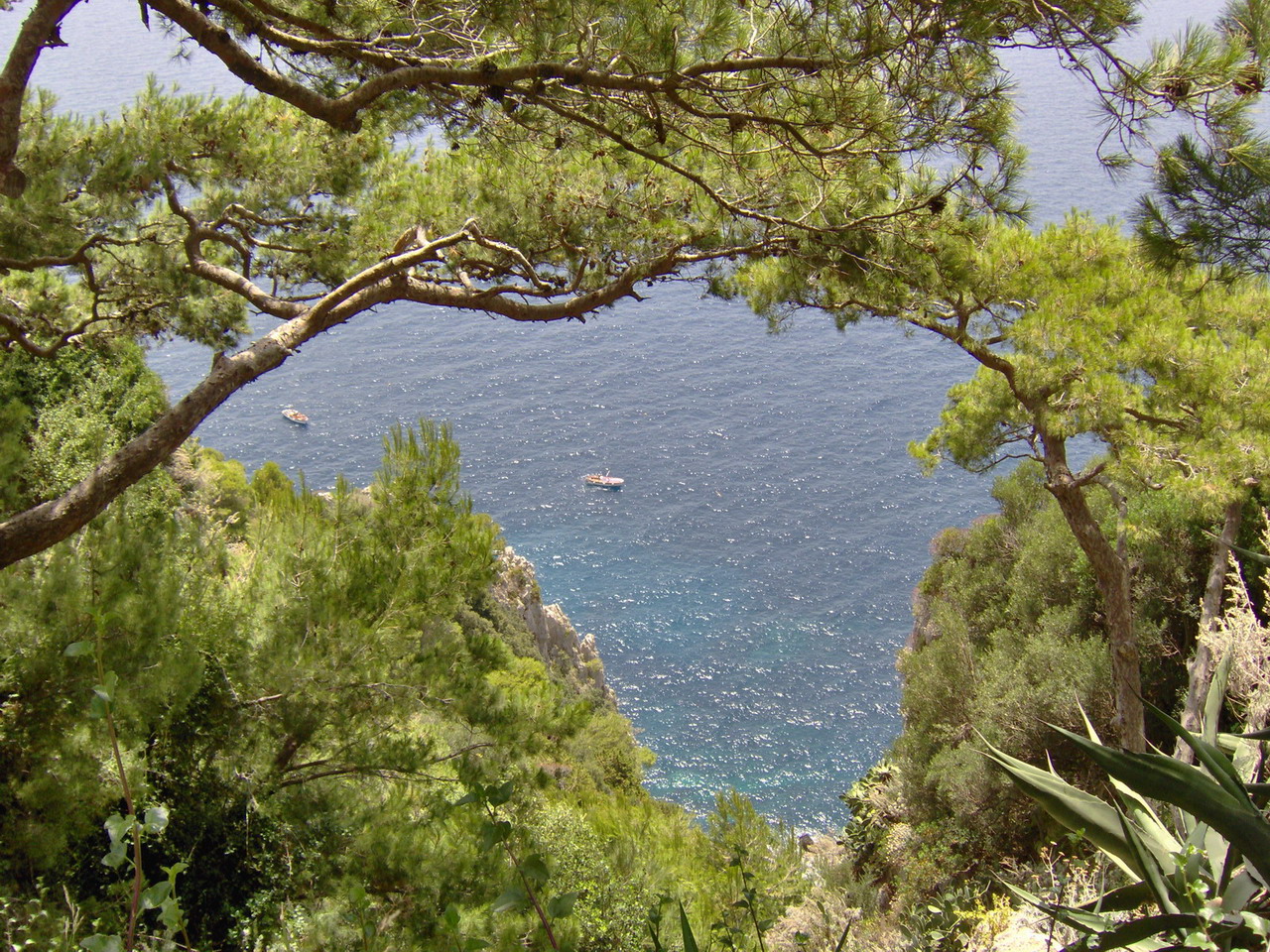 Fonds d'cran Nature Falaises Au bord de la falaise  Capri