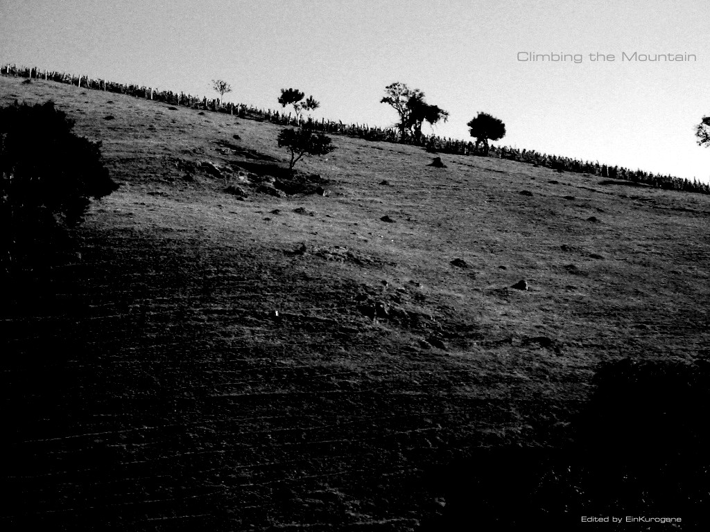 Fonds d'cran Nature Montagnes Escaladant la montagne