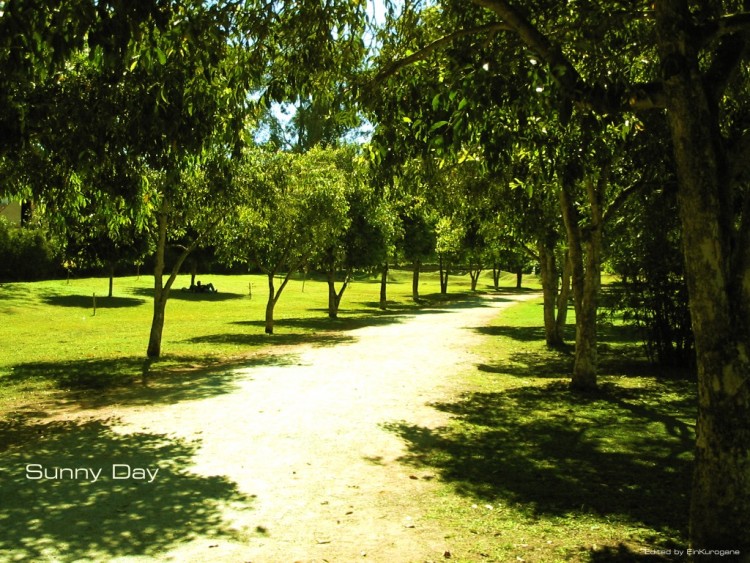 Fonds d'cran Nature Parcs - Jardins Jour de soleil