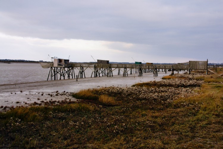 Fonds d'cran Nature Fleuves - Rivires - Torrents Estuaire de la Charente.