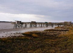 Fonds d'cran Nature Estuaire de la Charente.