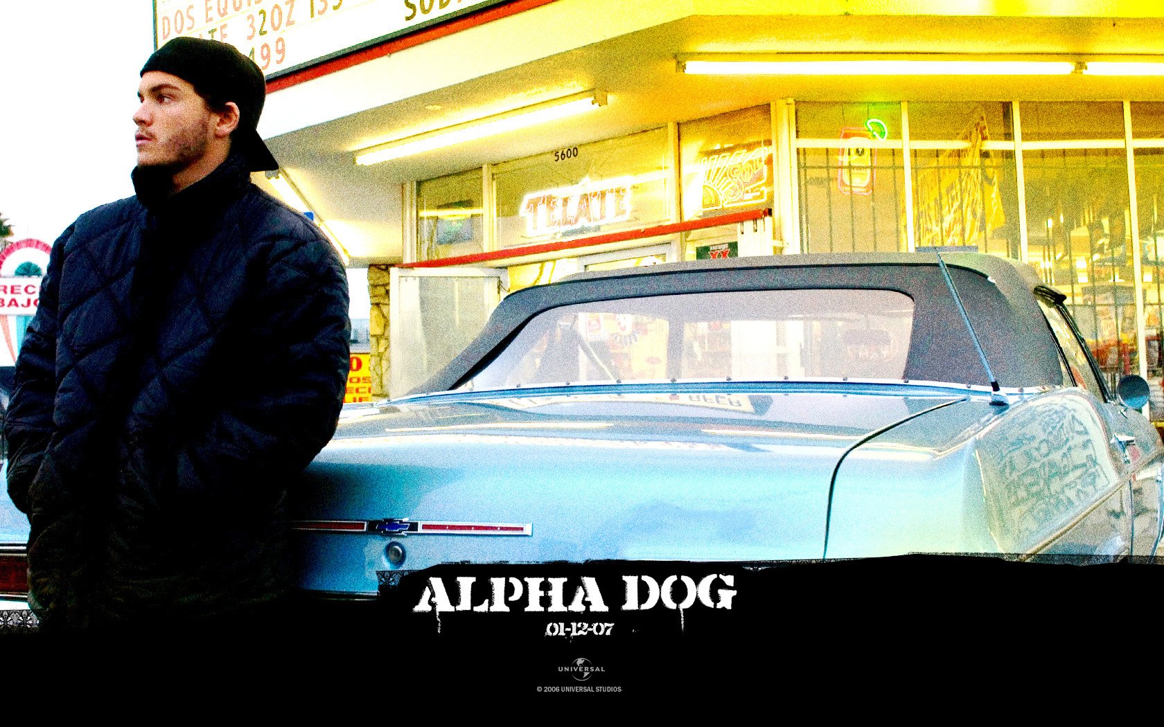 Wallpapers Movies Alpha Dog 