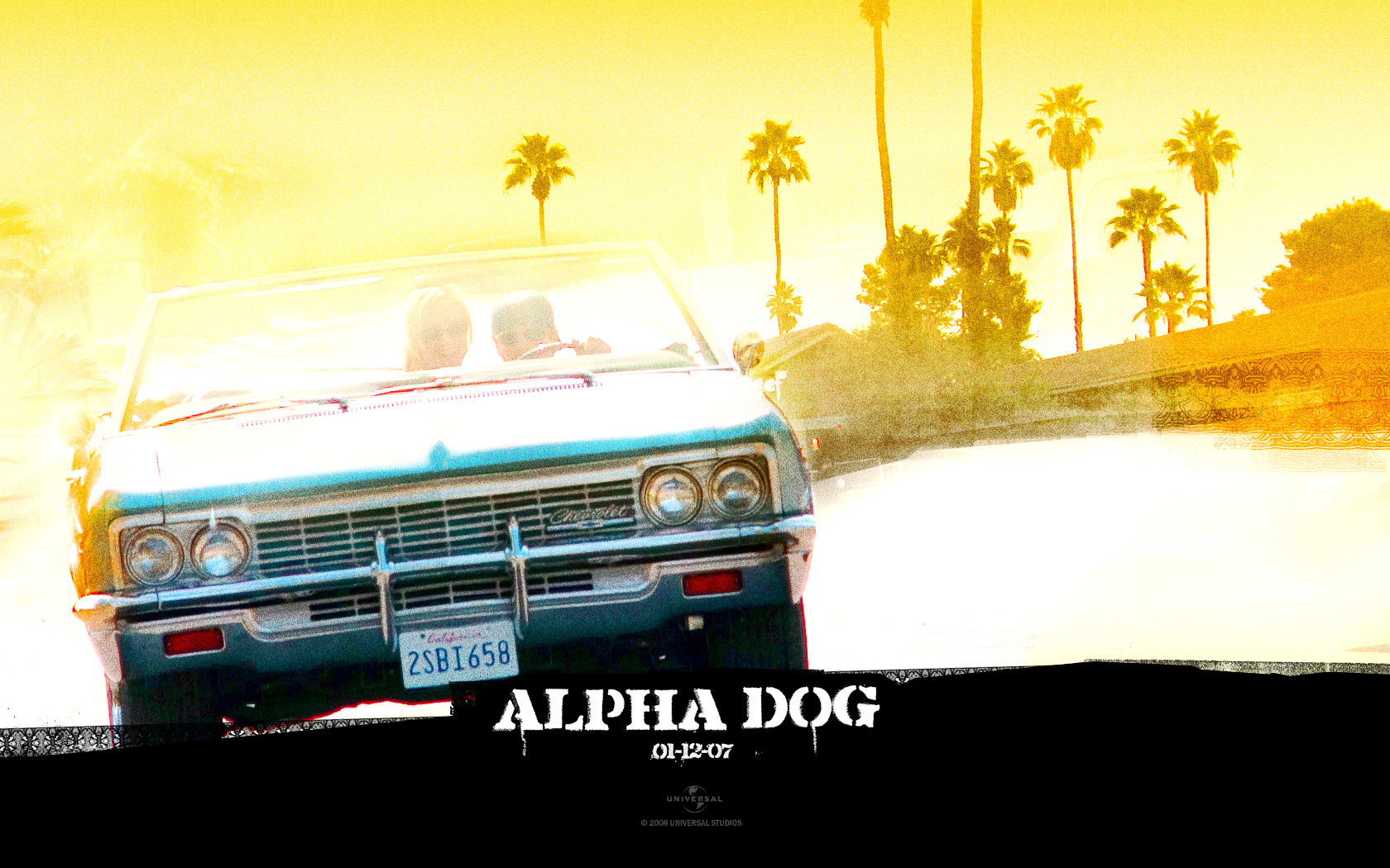 Wallpapers Movies Alpha Dog 