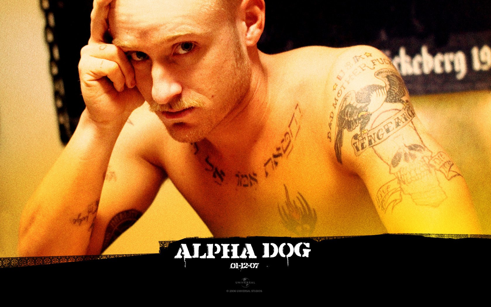 Wallpapers Movies Alpha Dog 