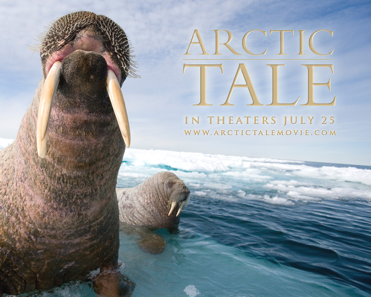 Wallpapers Movies Arctic Tale 