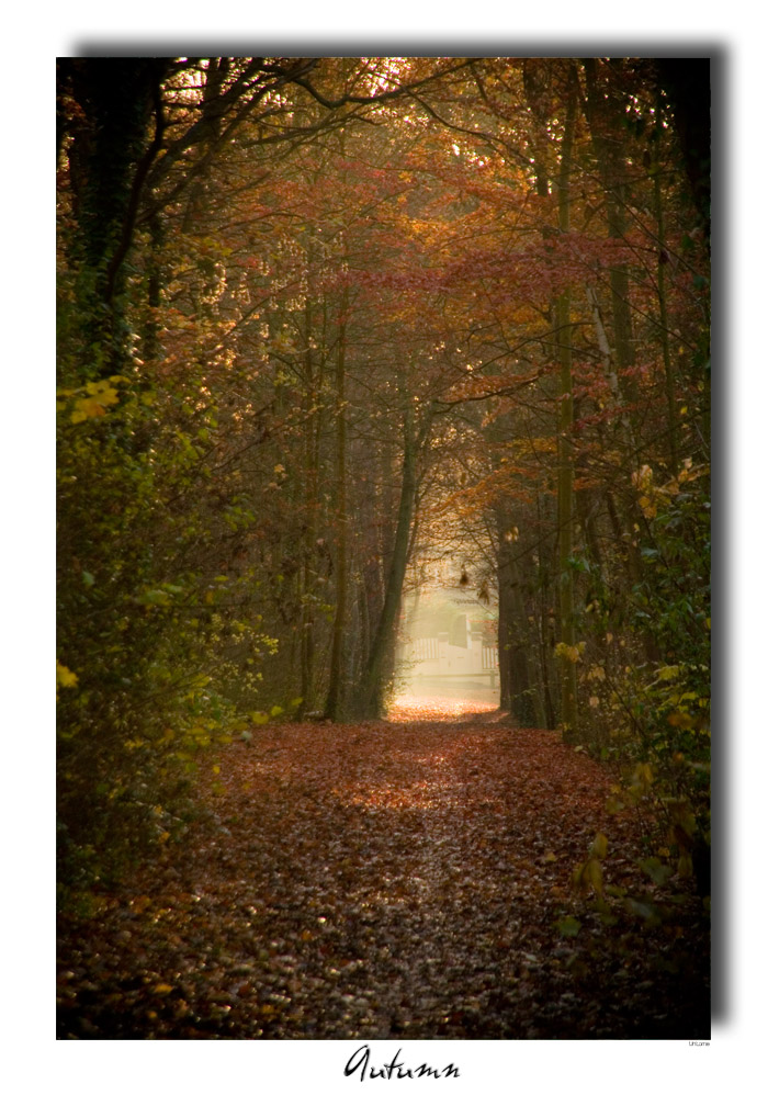 Fonds d'cran Nature Saisons - Automne 