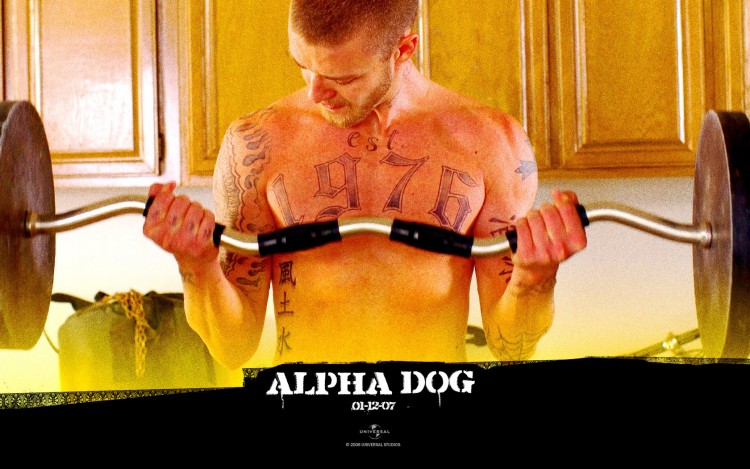 Wallpapers Movies Alpha Dog Wallpaper N185874