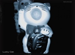 Fonds d'cran Objets Lucky Cat