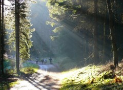 Fonds d'cran Nature EN BALADE