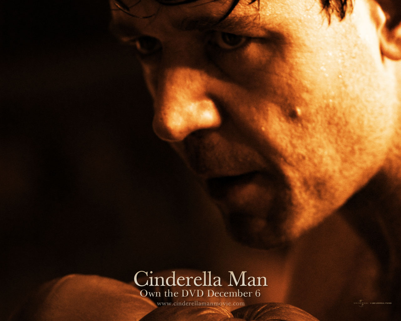 Wallpapers Movies The Cinderella Man 