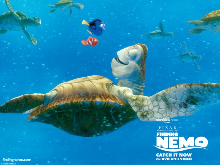 Fonds d'cran Dessins Anims Le Monde de Nemo Wallpaper N186288