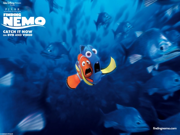 Fonds d'cran Dessins Anims Le Monde de Nemo Wallpaper N186289