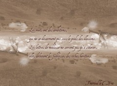 Wallpapers Digital Art Les Mots