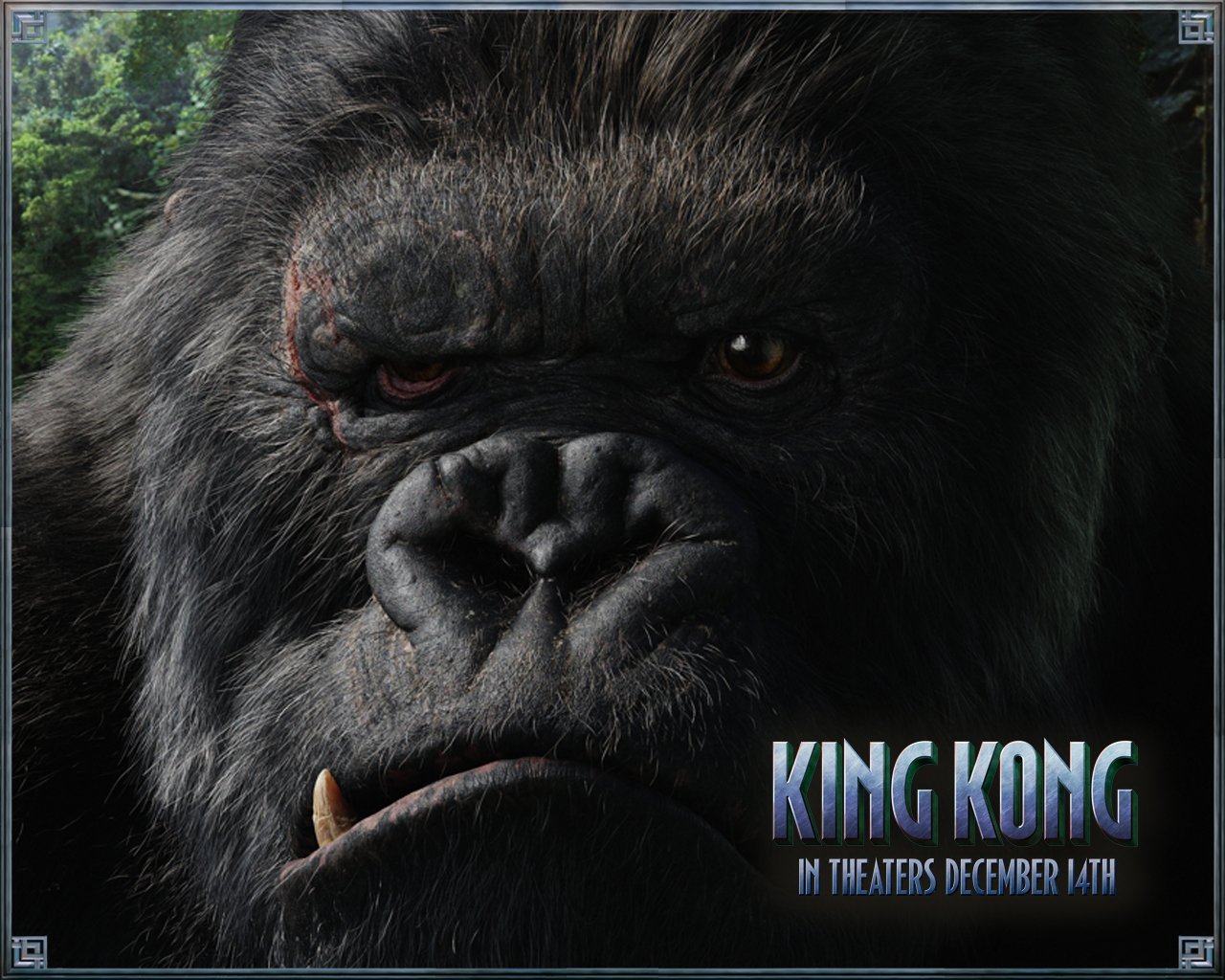 Fonds d'cran Cinma King Kong 