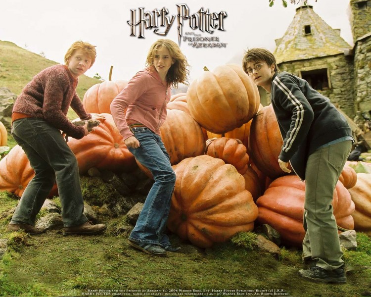 Fonds d'cran Cinma Harry Potter et le Prisonnier d'Azkaban (III) Wallpaper N186590