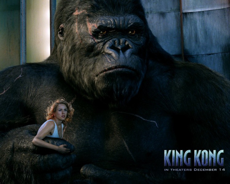 Fonds d'cran Cinma King Kong Wallpaper N186593