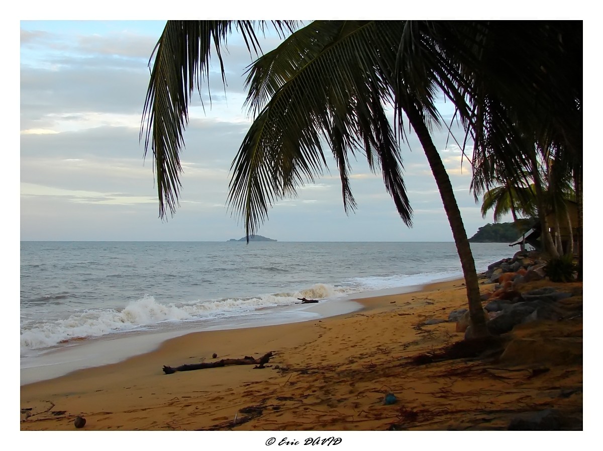 Fonds d'cran Nature Mers - Ocans - Plages Plage dserte