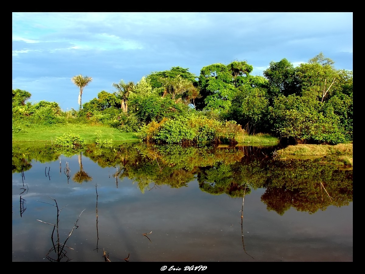 Wallpapers Nature Water - Reflection Nature en reflets