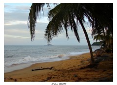 Fonds d'cran Nature Plage dserte