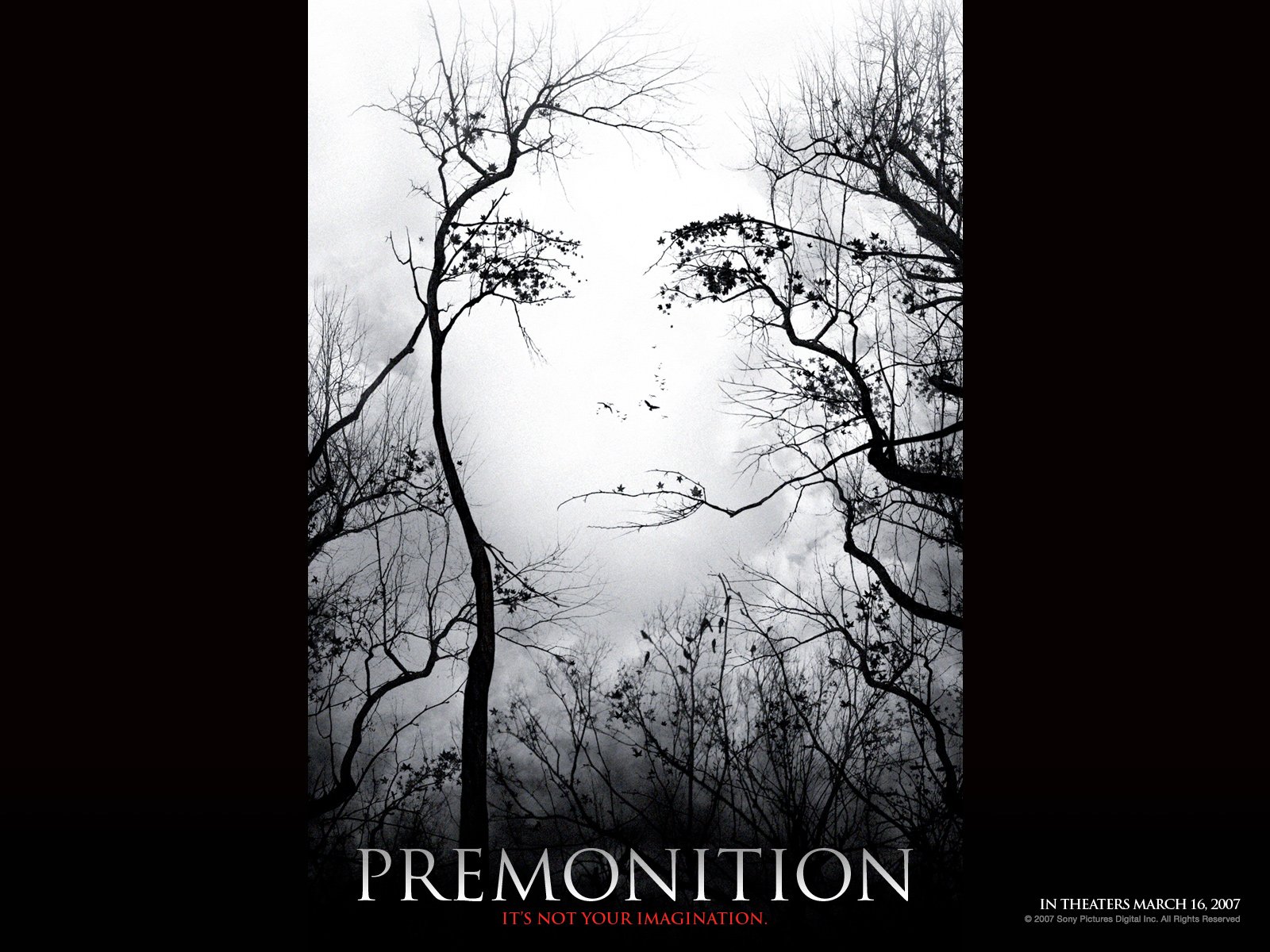 Wallpapers Movies Premonition 