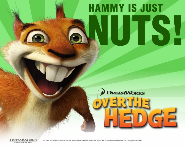 Wallpapers Cartoons Over the Hedge Wallpaper N187542