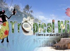 Wallpapers Digital Art Vin tropical