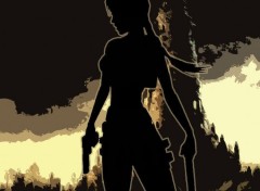 Fonds d'cran Jeux Vido tomb raider