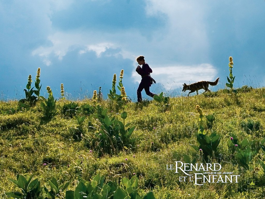 Wallpapers Movies Le Renard et l'Enfant 