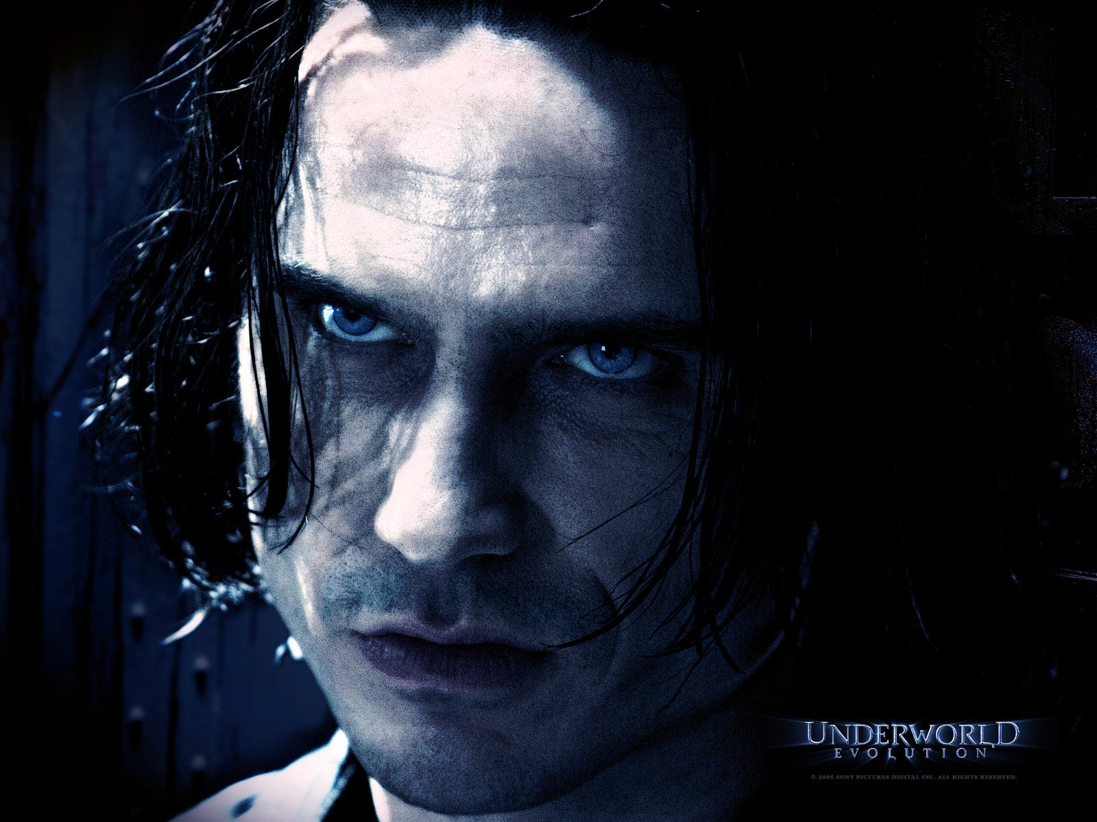 Wallpapers Movies Underworld - Evolution 