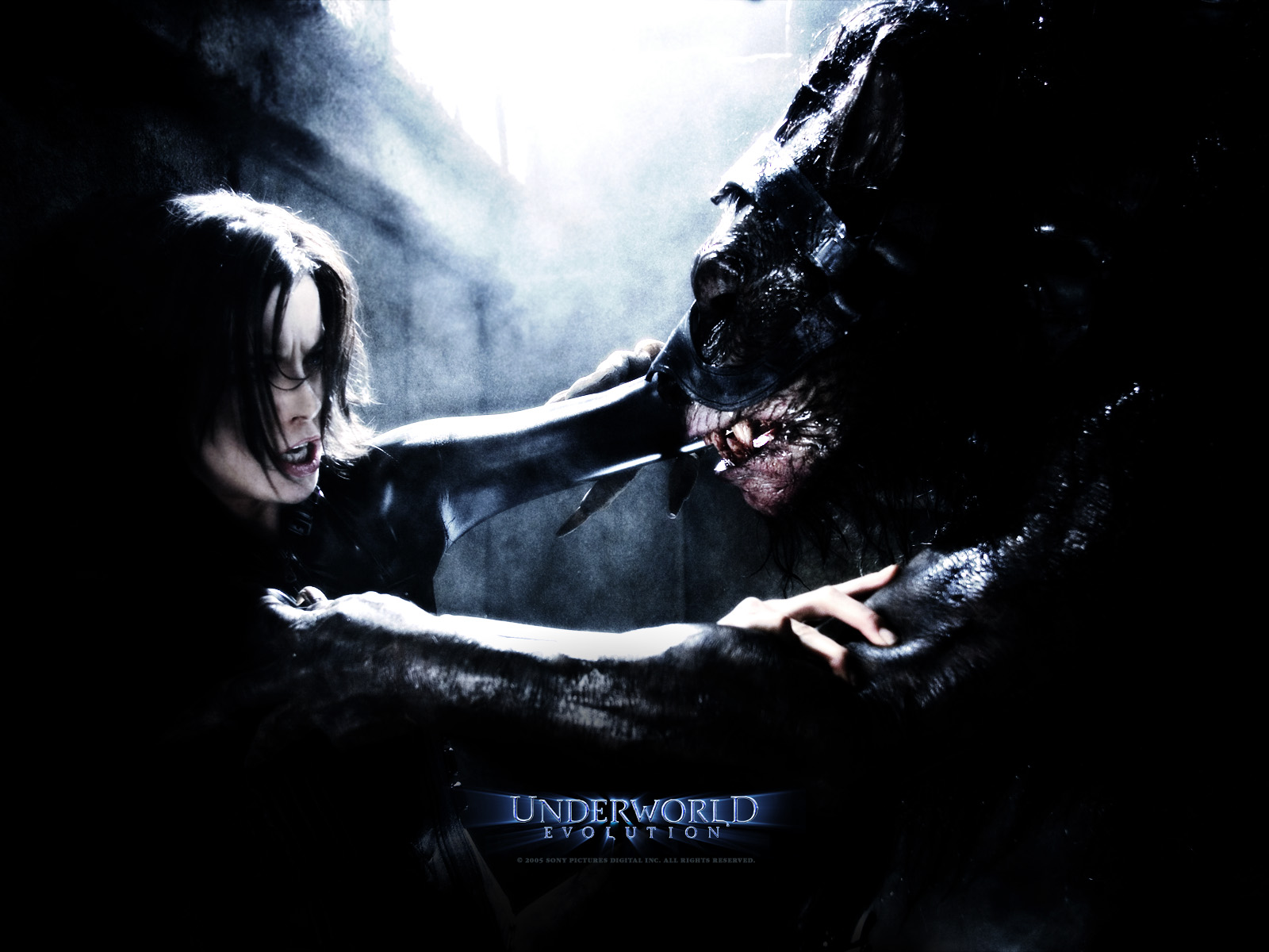 Wallpapers Movies Underworld - Evolution 