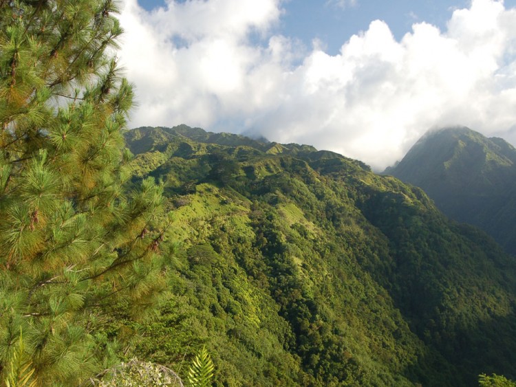 Fonds d'cran Nature Montagnes Flanc de montagne  Tahiti