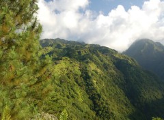 Fonds d'cran Nature Flanc de montagne  Tahiti