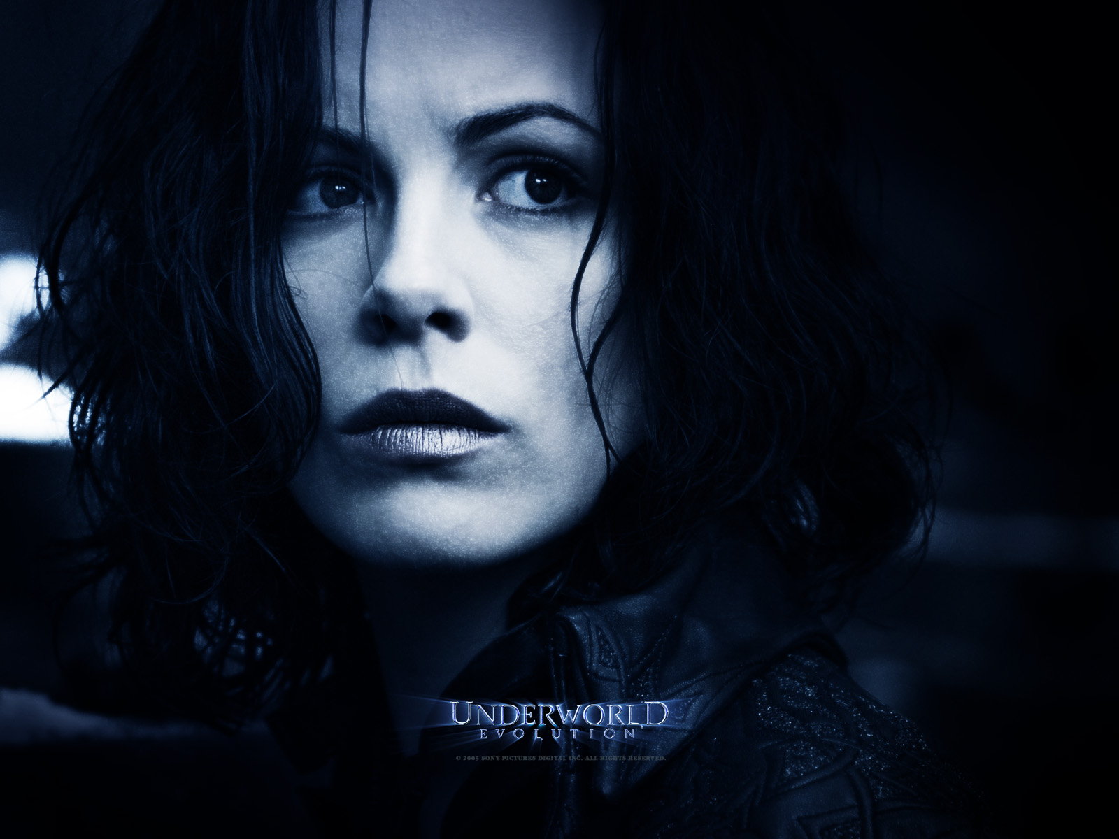 Wallpapers Movies Underworld - Evolution 