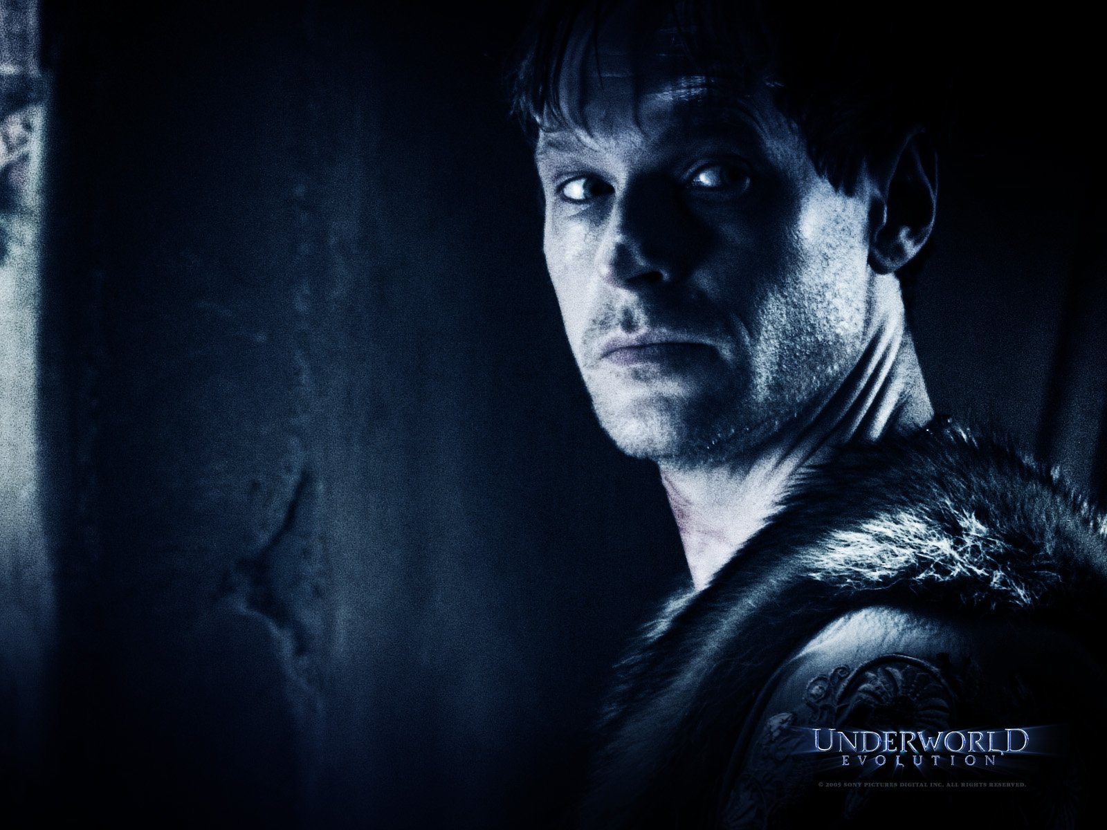 Wallpapers Movies Underworld - Evolution 