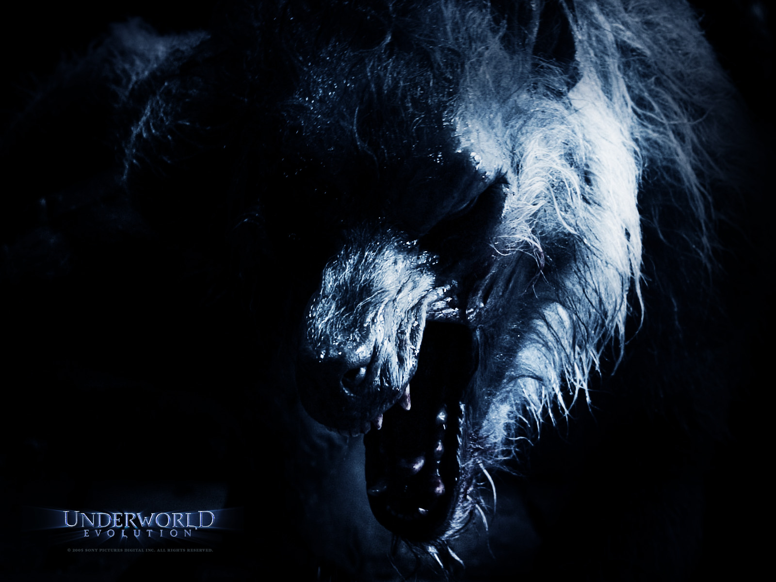 Wallpapers Movies Underworld - Evolution 