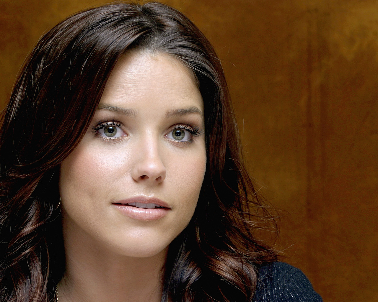 Fonds d'cran Clbrits Femme Sophia Bush 