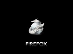 Fonds d'cran Informatique Silver Firefox