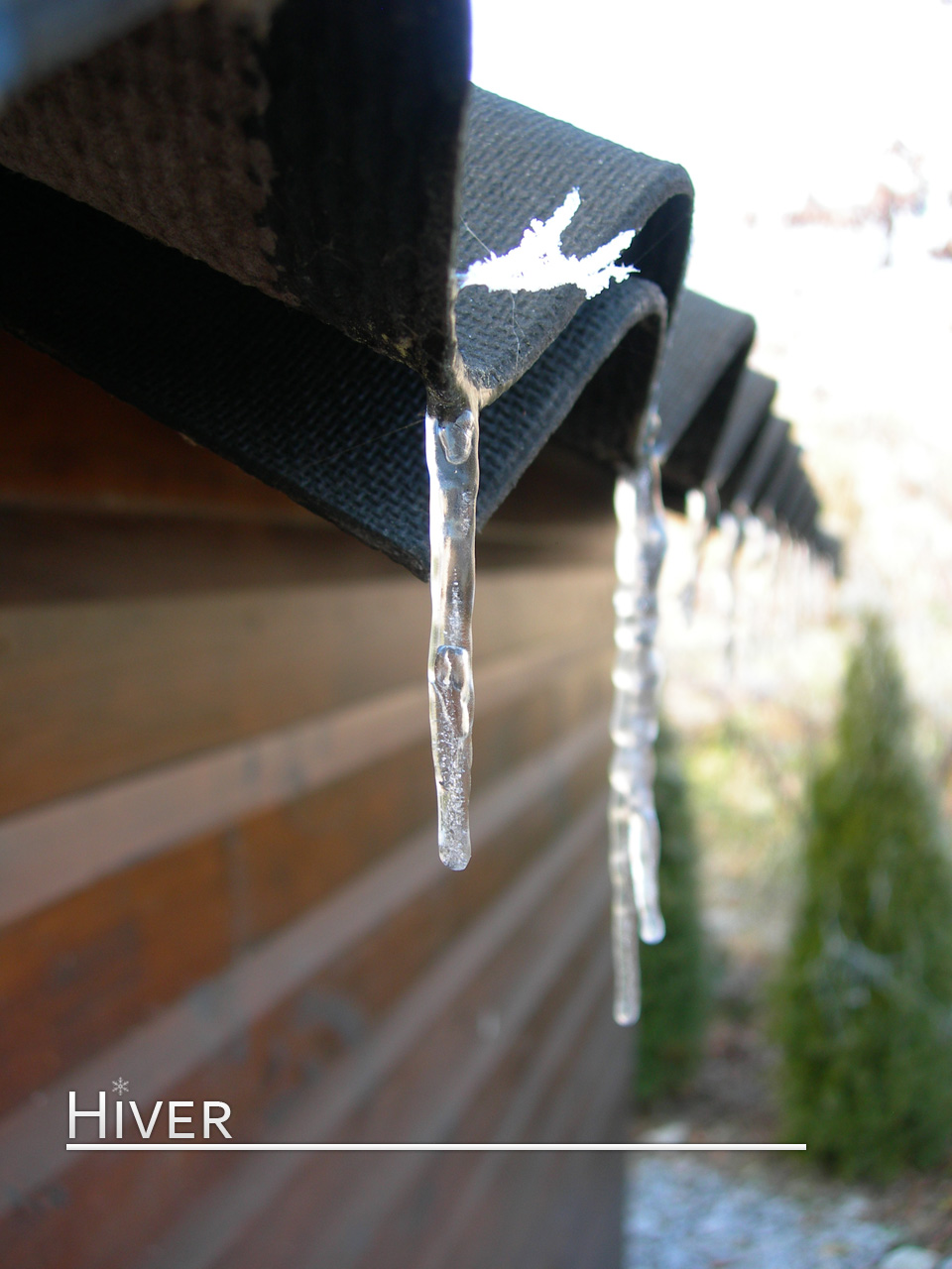 Wallpapers Nature Saisons - Winter Stalactites alignes