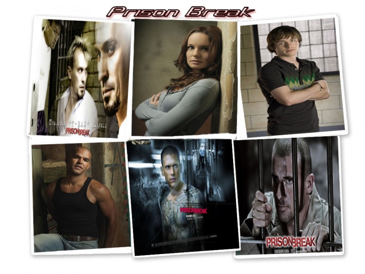 Wallpapers TV Soaps Prison Break Prison Break