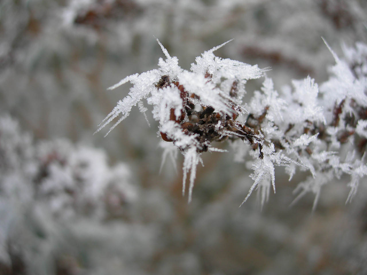 Fonds d'cran Nature Saisons - Hiver Hiver #01